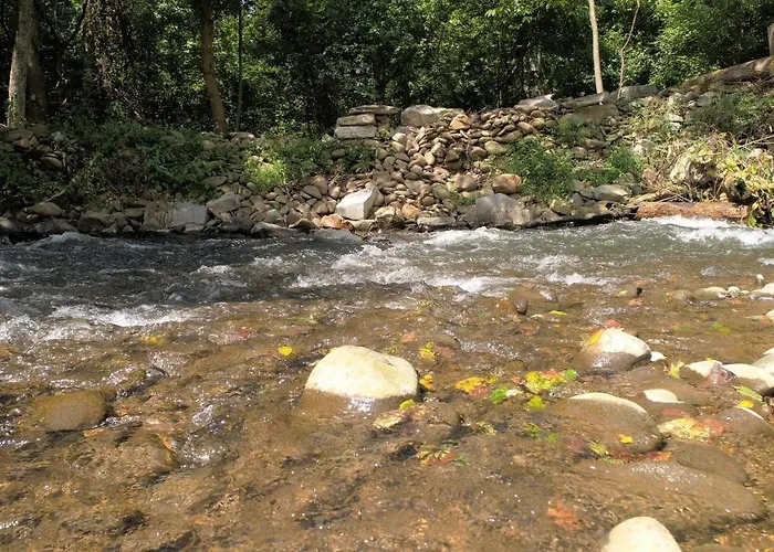 Top Newport on the Levee Hotels in Charming Kentucky