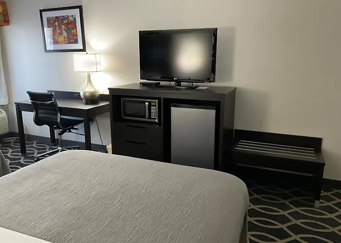 Top Jacksonville Airport Hotels with Shuttle Service