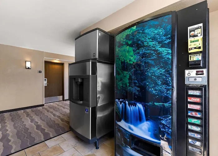 Top Pet Friendly Accommodations in Layton