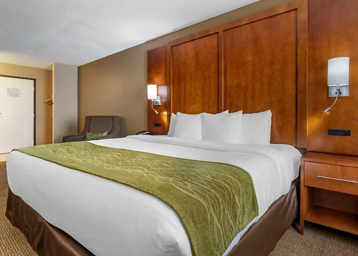 Top Hotels in Romeoville